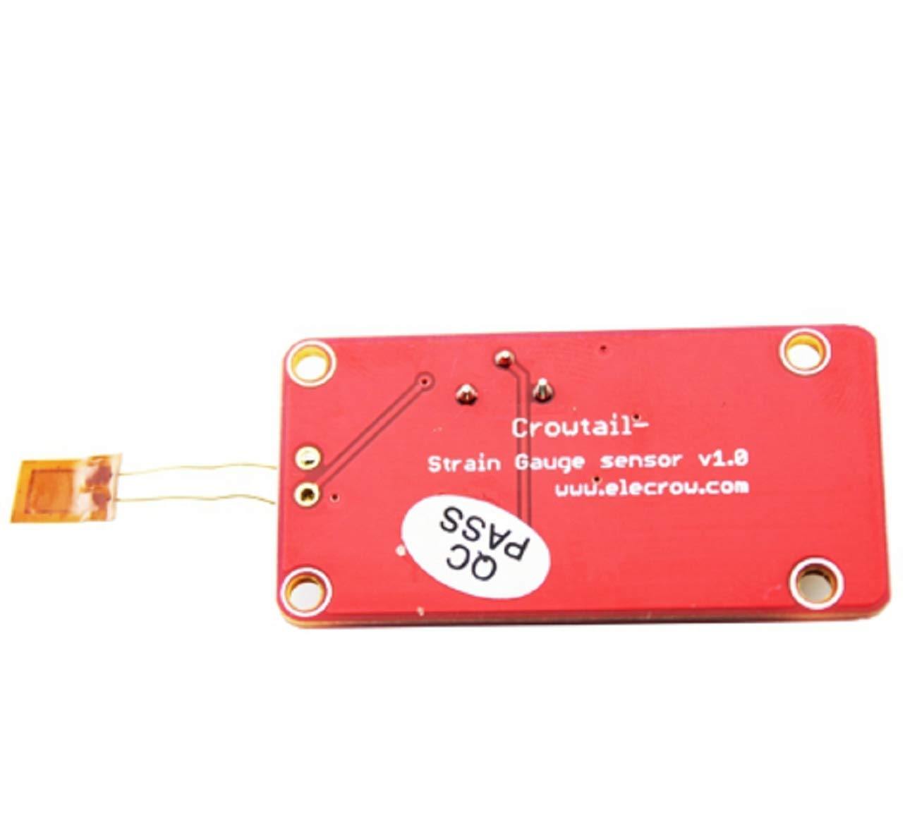 Module for Strain Gauge