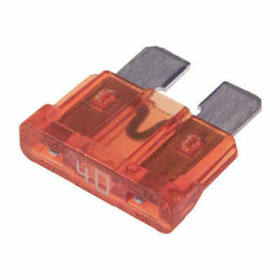 A pair of 40 amp car blade fuses